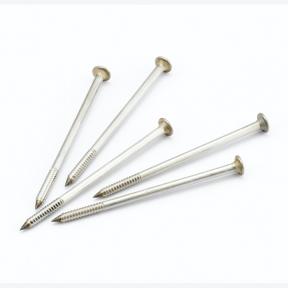 不銹鋼自攻尖尾螺絲DS-SQP-DCC-104